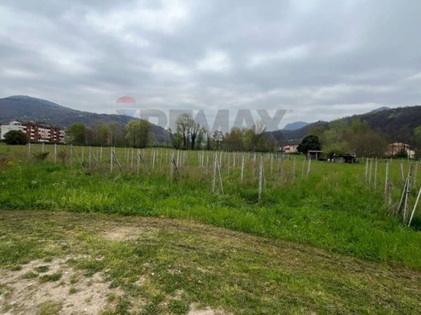 terreno agricolo in vendita a Luino in zona Voldomino