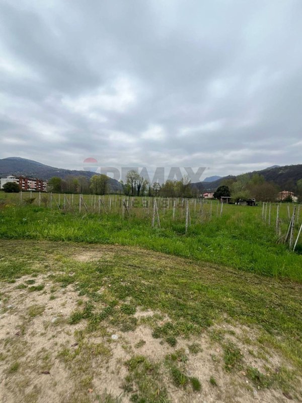 terreno agricolo in vendita a Luino in zona Voldomino