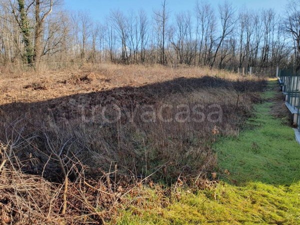 terreno agricolo in vendita a Malnate in zona San Salvatore