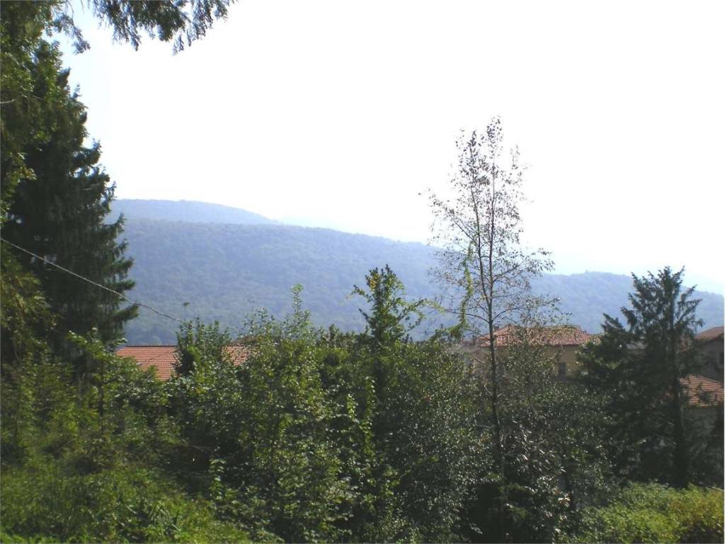 terreno edificabile in vendita a Marchirolo