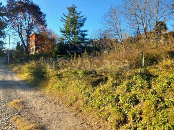 terreno agricolo in vendita a Montegrino Valtravaglia