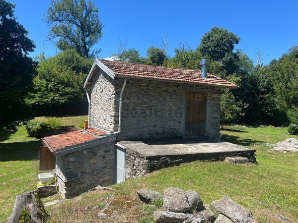 appartamento in vendita a Montegrino Valtravaglia