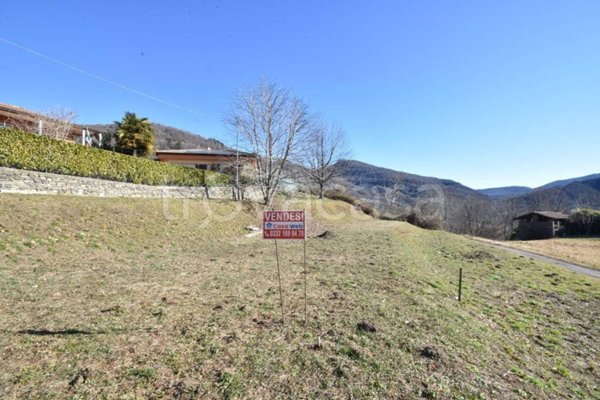 terreno agricolo in vendita a Montegrino Valtravaglia