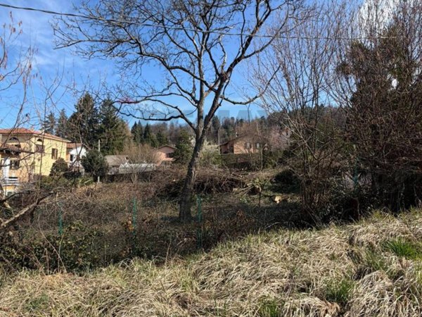 terreno edificabile in vendita a Montegrino Valtravaglia