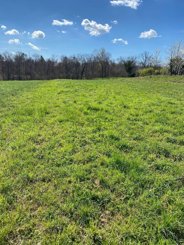 terreno agricolo in vendita a Morazzone