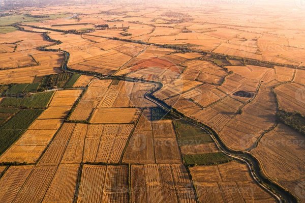 terreno agricolo in vendita a Morazzone
