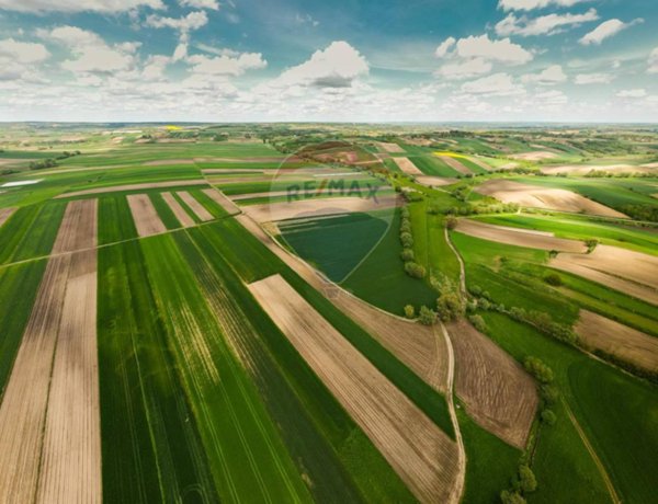 terreno agricolo in vendita a Morazzone