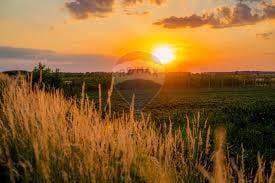terreno agricolo in vendita a Morazzone