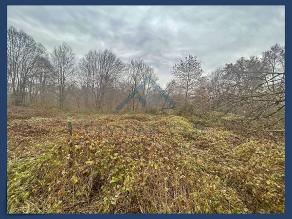 terreno agricolo in vendita a Mornago