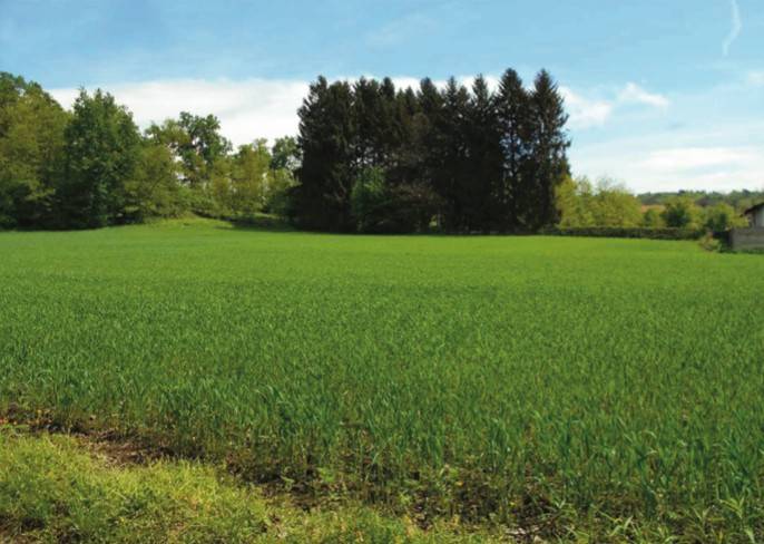 terreno edificabile in vendita a Mornago