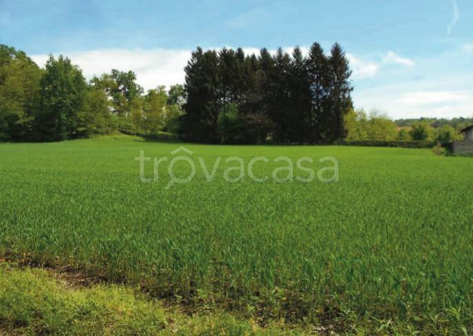 terreno edificabile in vendita a Mornago