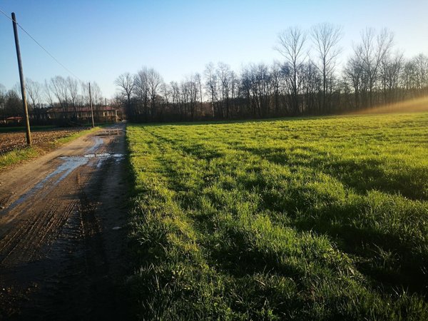 terreno agricolo in vendita a Mornago in zona Crugnola