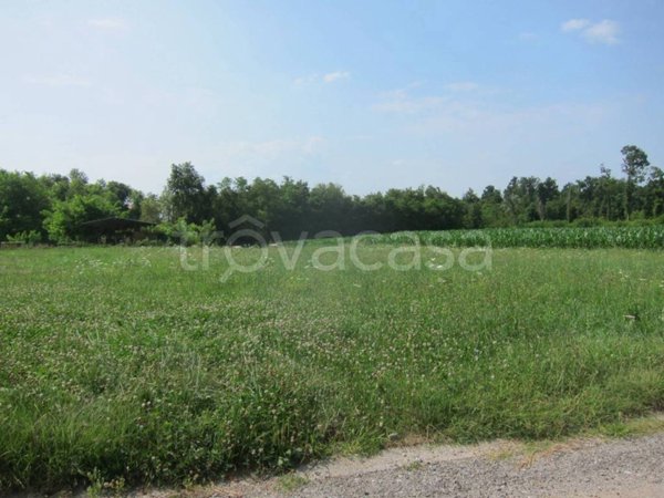 terreno agricolo in vendita a Mornago