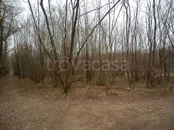 terreno agricolo in vendita ad Origgio