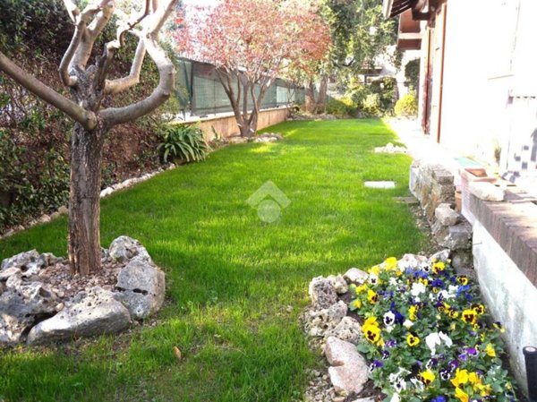 immagine annuncio 0 di 15