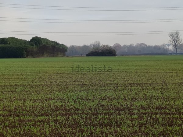 terreno agricolo in vendita ad Origgio