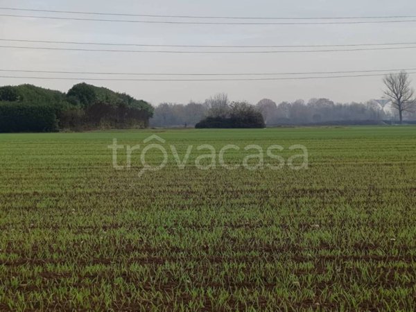 terreno agricolo in vendita ad Origgio