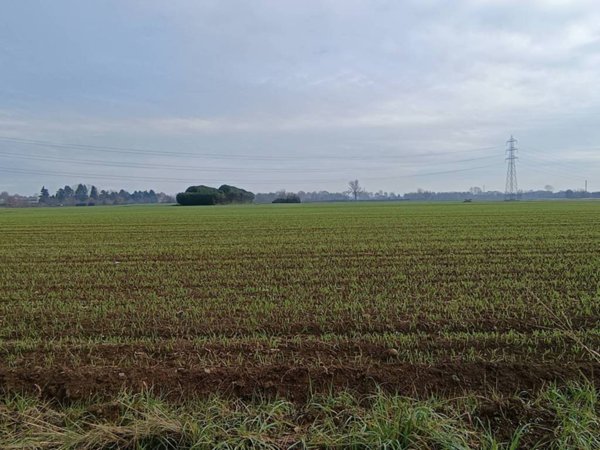 terreno edificabile in vendita ad Origgio