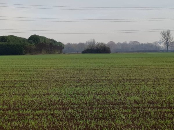 terreno agricolo in vendita ad Origgio