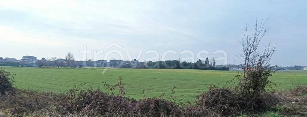 immagine annuncio 0 di 10