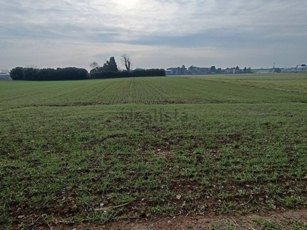 terreno agricolo in vendita ad Origgio