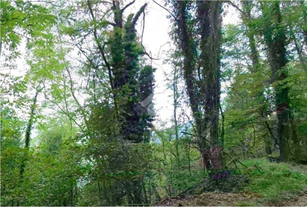 terreno agricolo in vendita a Porto Ceresio