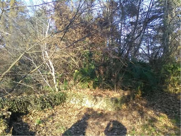 terreno edificabile in vendita a Porto Valtravaglia