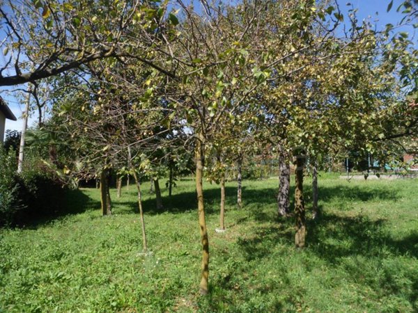 terreno agricolo in vendita a Porto Valtravaglia in zona Domo