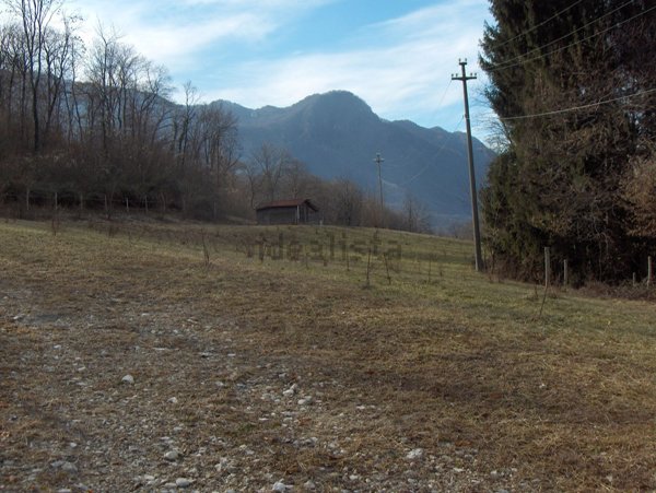 terreno agricolo in vendita a Porto Valtravaglia