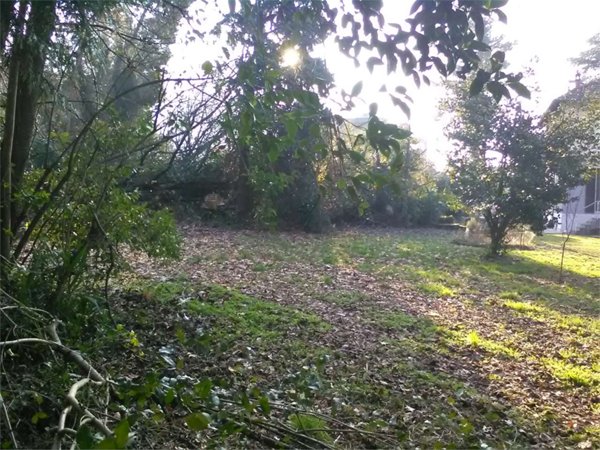 terreno edificabile in vendita a Porto Valtravaglia