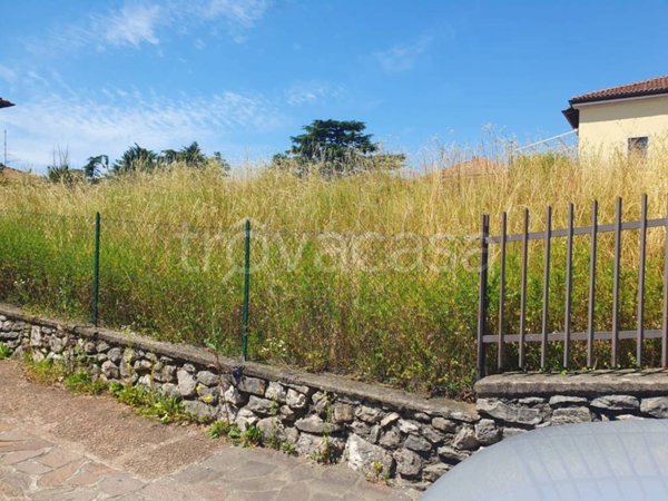 terreno agricolo in vendita a Saltrio