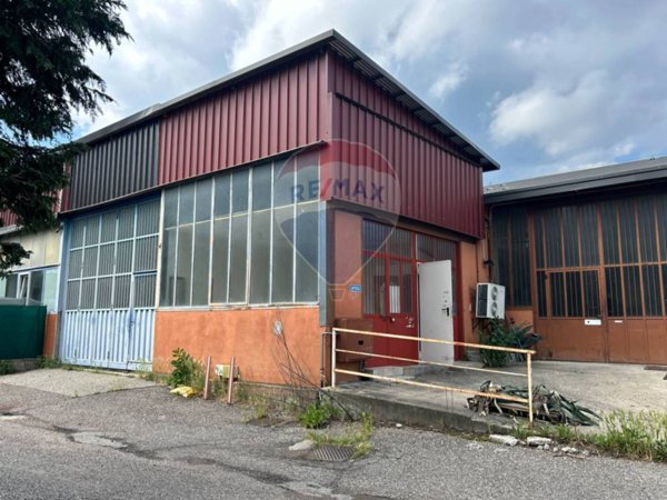 immagine annuncio 0 di 15