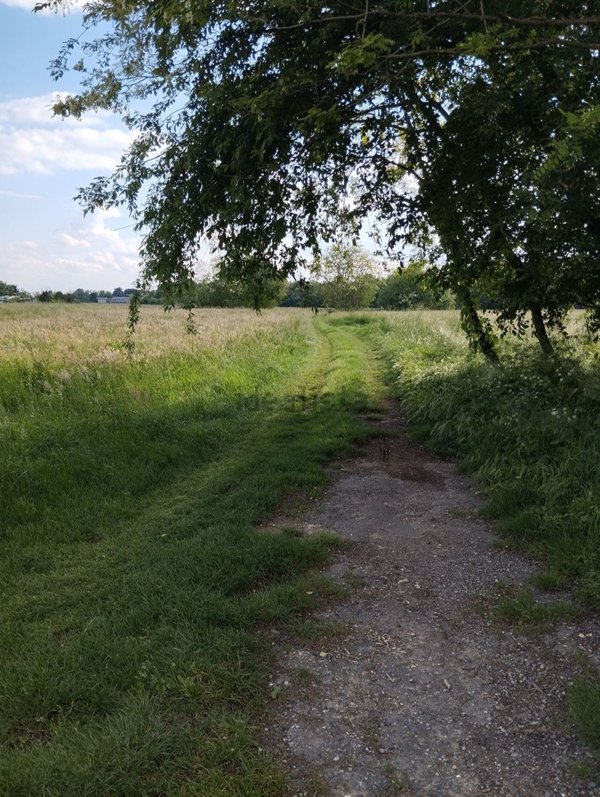 terreno agricolo in vendita a Samarate