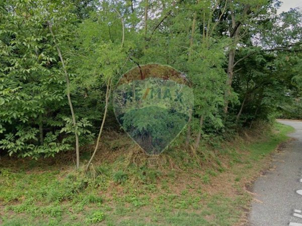 terreno agricolo in vendita a Samarate