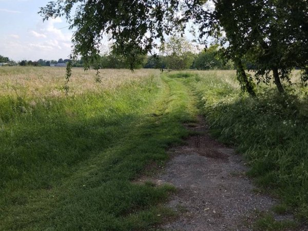 terreno agricolo in vendita a Samarate