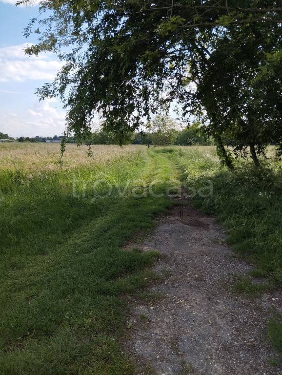 terreno agricolo in vendita a Samarate