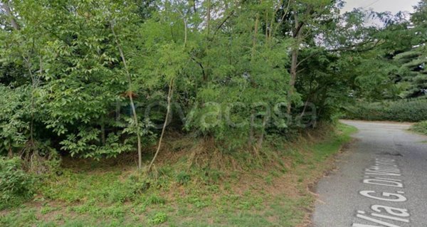 terreno agricolo in vendita a Samarate in zona Verghera