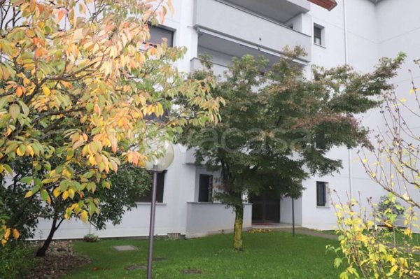 appartamento in vendita a Saronno