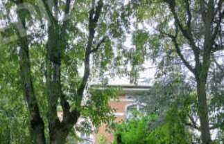 casa indipendente in vendita a Saronno