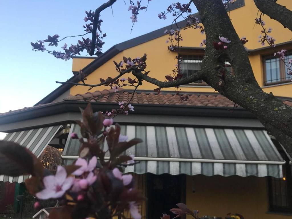 casa indipendente in vendita a Saronno