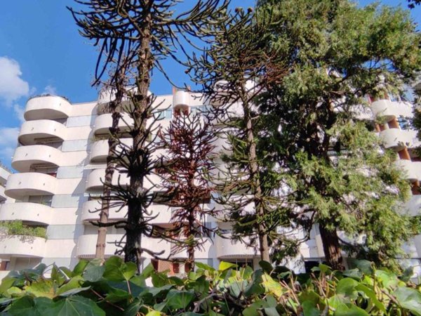 appartamento in vendita a Saronno in zona Dal Pozzo