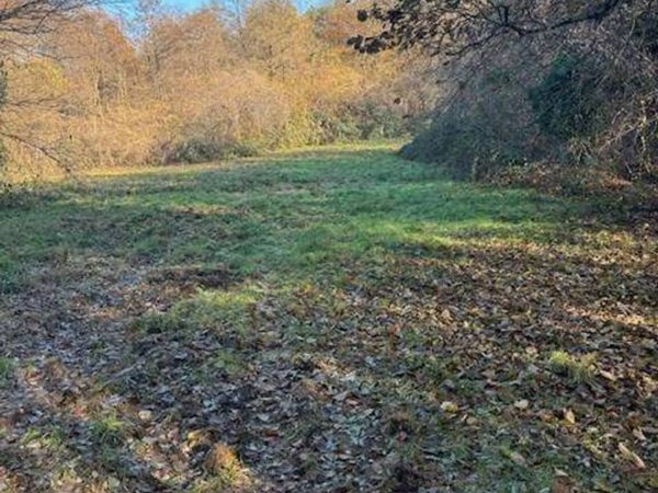 terreno agricolo in vendita a Sesto Calende