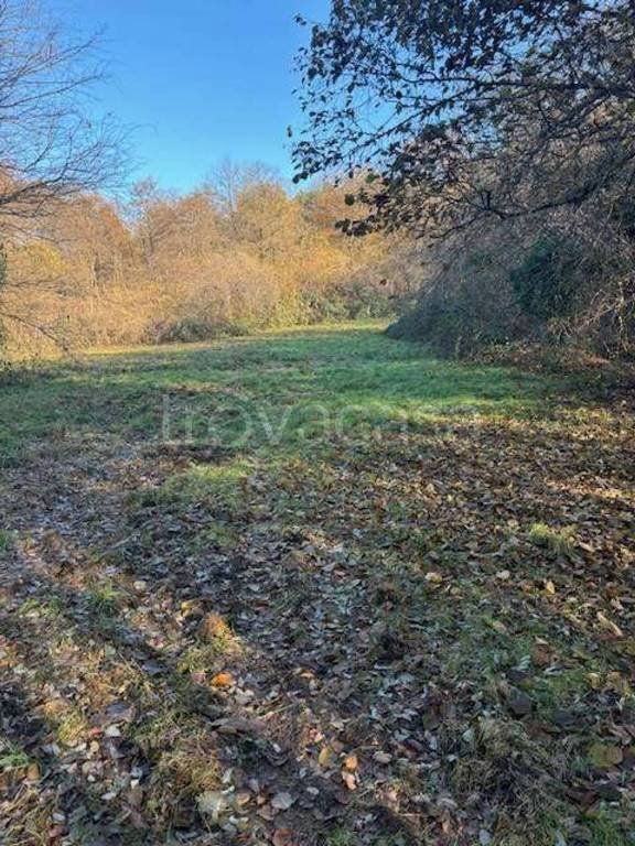 terreno agricolo in vendita a Sesto Calende in zona Lentate