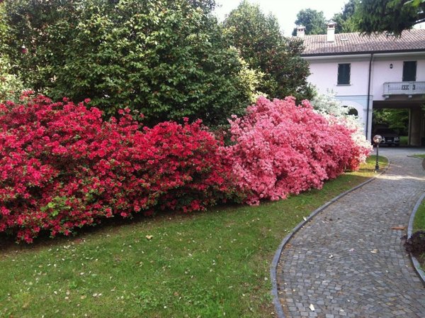 villa in vendita a Sesto Calende