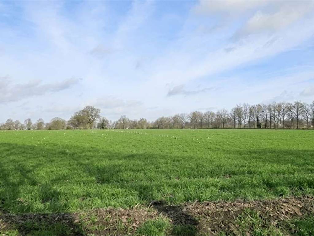 terreno agricolo in vendita a Sesto Calende in zona Oriano