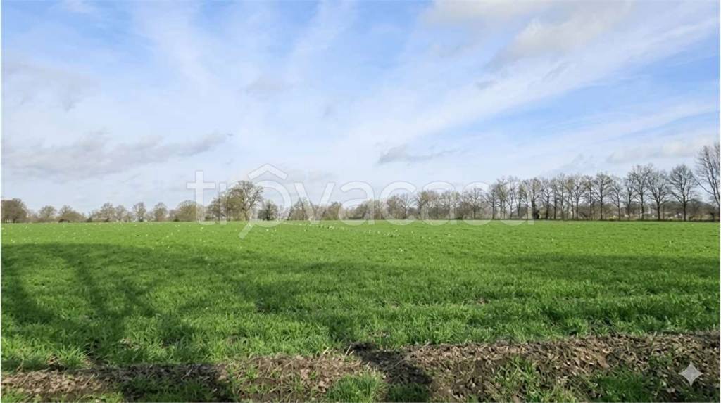 terreno agricolo in vendita a Sesto Calende in zona Oriano