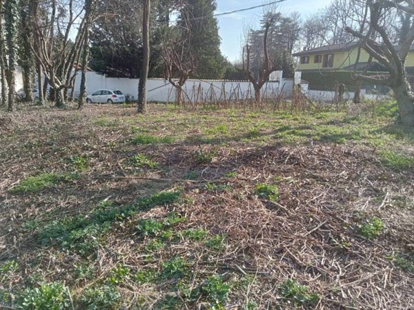terreno agricolo in vendita a Somma Lombardo