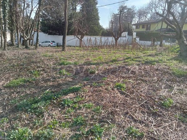 terreno agricolo in vendita a Somma Lombardo