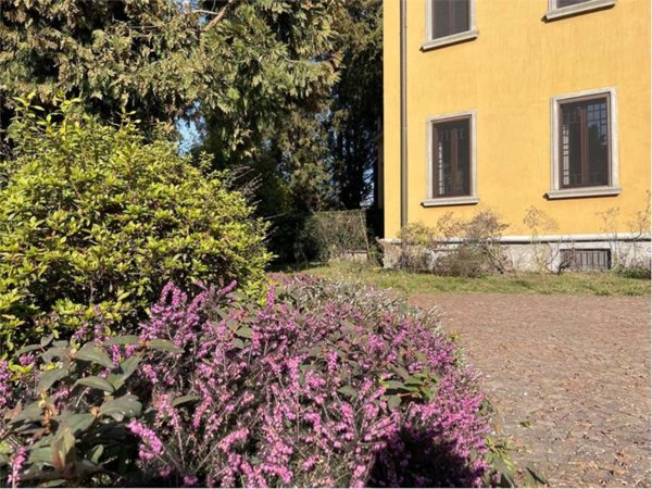 immagine annuncio 0 di 5