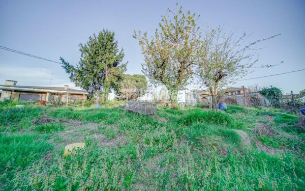 terreno agricolo in vendita a Somma Lombardo